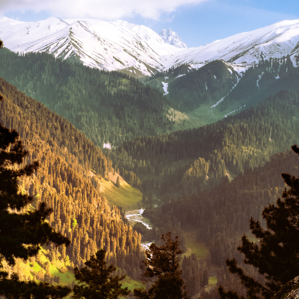 High Pass Kashmir Quest